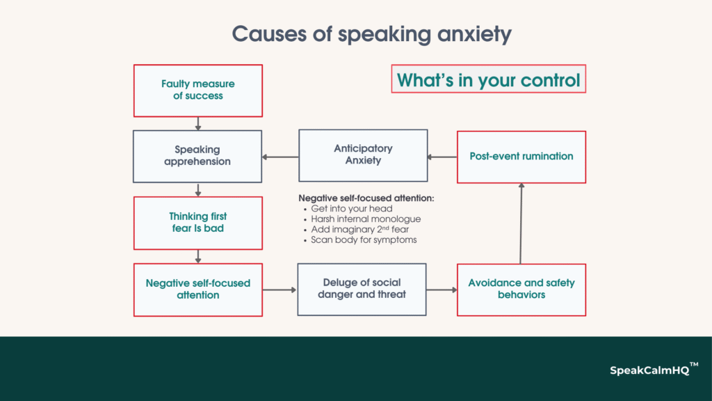 causes of speaking anxiety and what's in your control